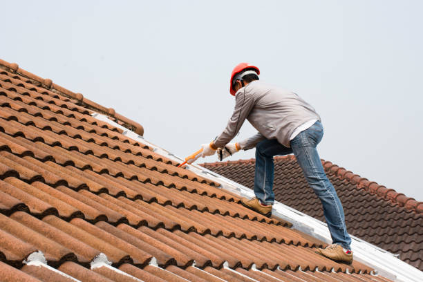 Best Storm Damage Roof Repair  in Thunderbolt, GA